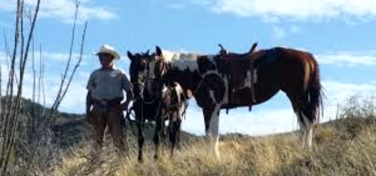 Double R Guest Ranch in Benson AZ